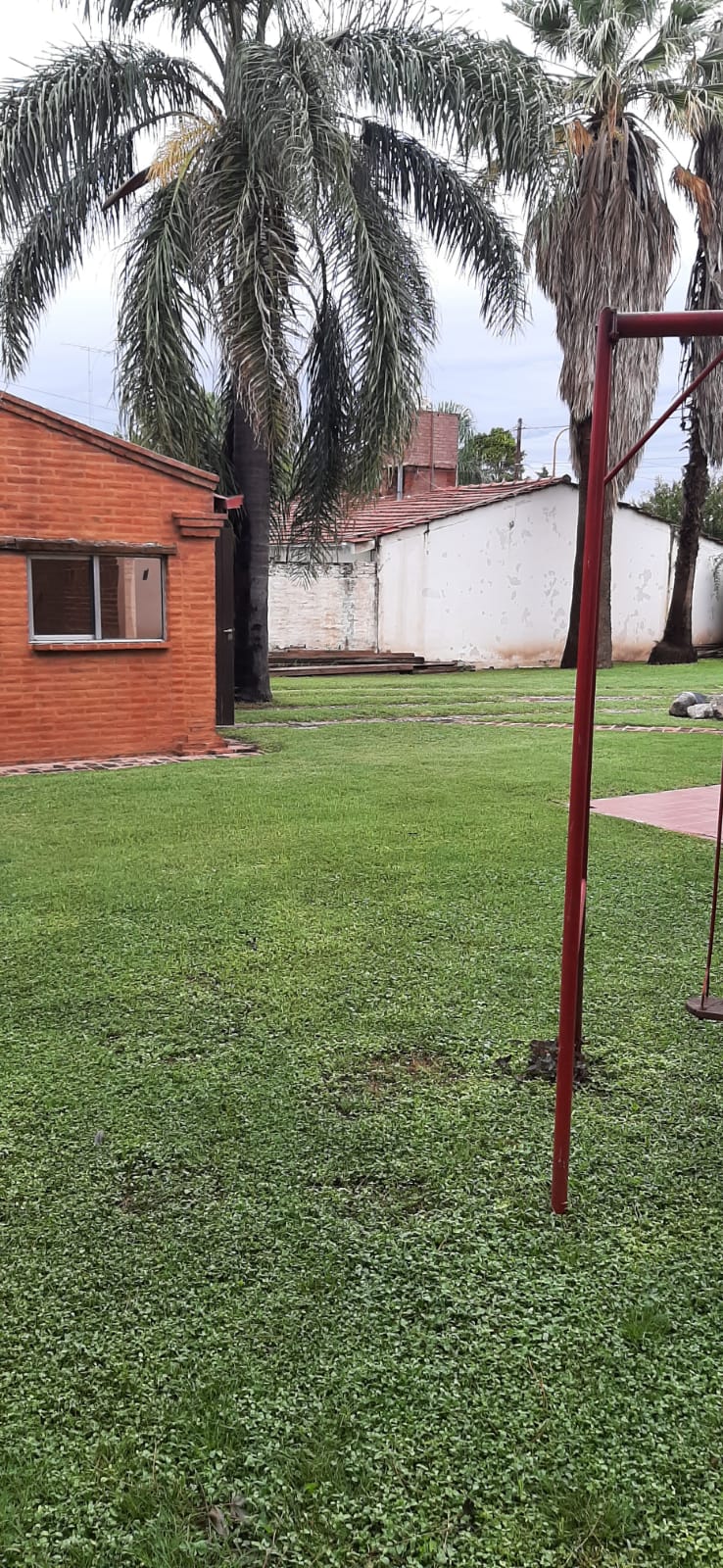 Acceso a la casa con palmera