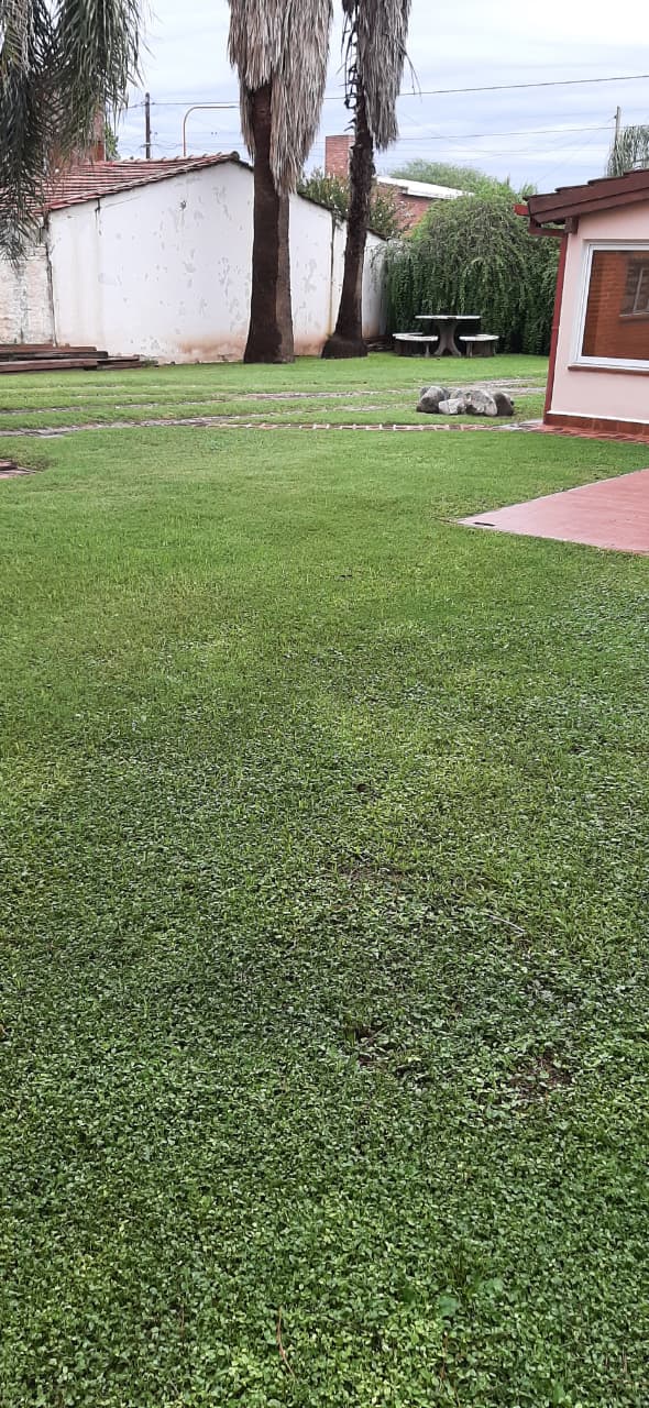 Amplio parque verde